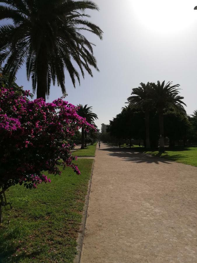 Apartamento La Marina-Ciudad Jardin لاس بالماس دي غران كاناريا المظهر الخارجي الصورة